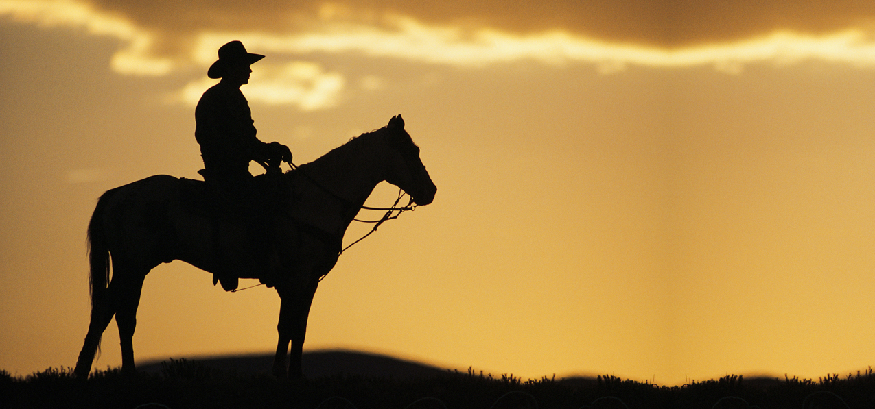 P 360BZ Cowboy Bronze